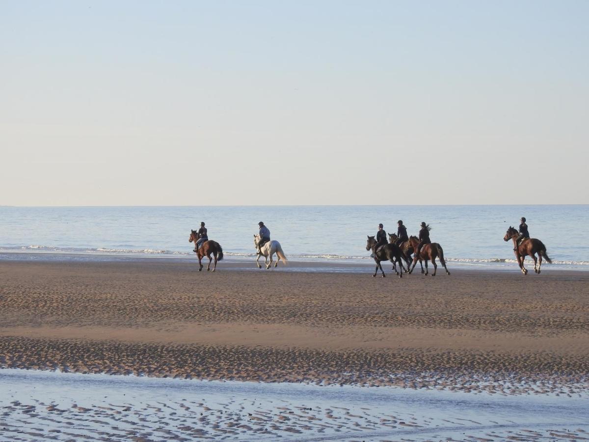 Les 3 Mouettes A Cabourg - Cote Normande Exterior foto