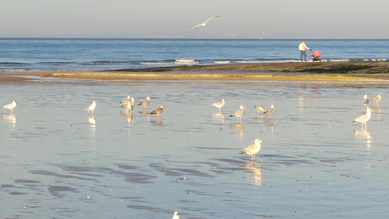 Les 3 Mouettes A Cabourg - Cote Normande Exterior foto